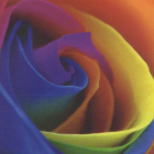 Cristal Art Transparant PVC