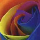 Cristal Art Transparant PVC