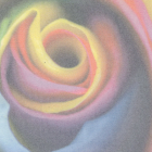 Eco Display 210 gr/m2