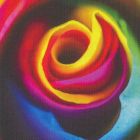 Eco Display Structured 250 gr/m2