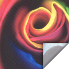 Eco Display UV XL 210 gr/m2