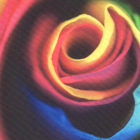 Eco Display UV XL 210 gr/m2