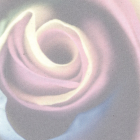 Eco Display UV XL 210 gr/m2