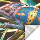 Gekko-tex Zelfklevend Textiel 360 gr/m2