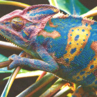 Gekko-tex Zelfklevend Textiel 360 gr/m2