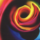 Lightex 260 gr/m2 B1