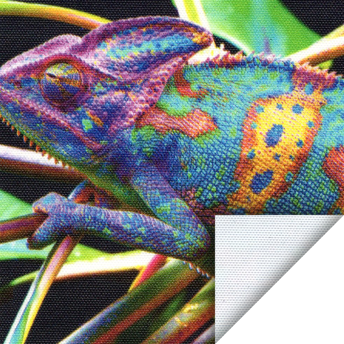 Canvas Matisse 260 gr/m2