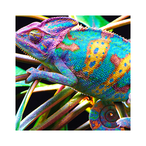 Materiaal WallTex 315 gr/m2